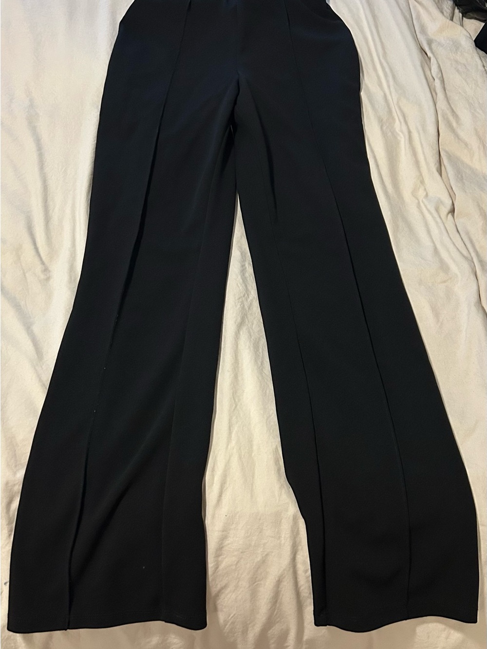 H&M Black Wide-Leg Dress Pants with Front Crease